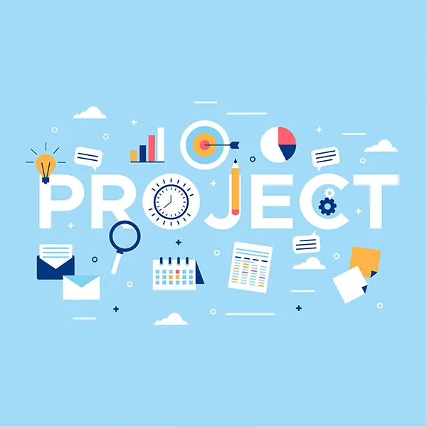 desarrollo de project manager
