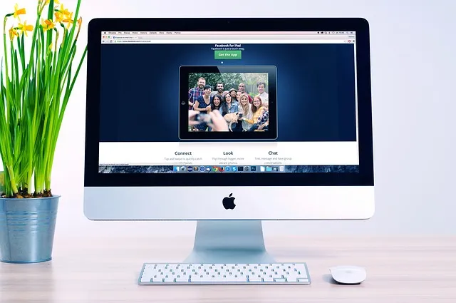 oficina de diseño web
