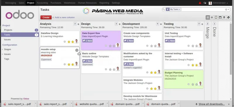 project manager