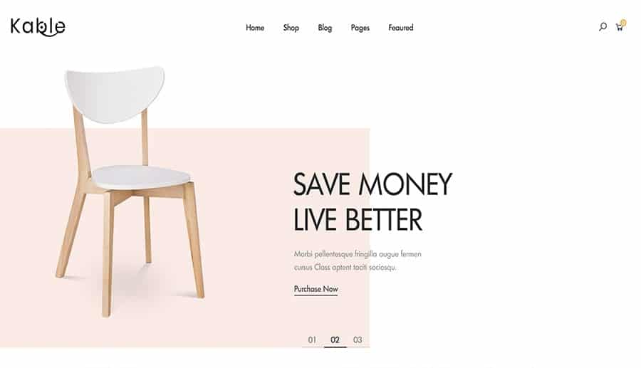 design online store Wordpress
