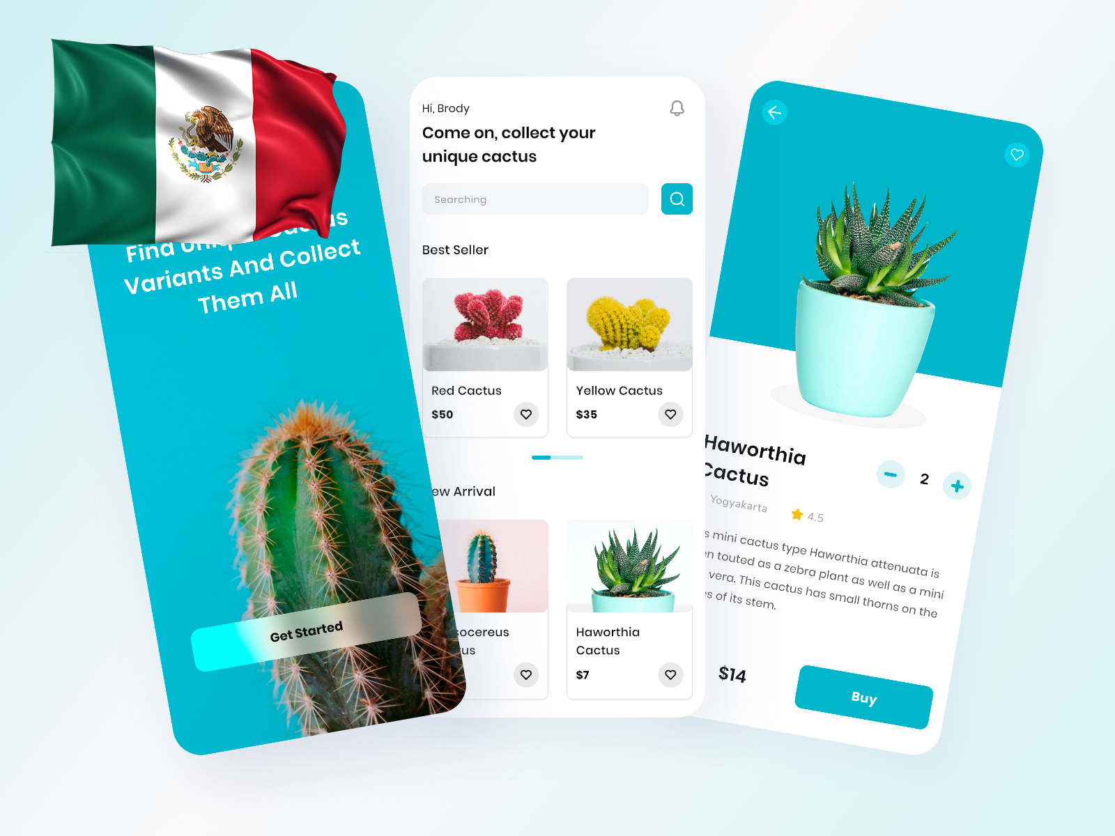 App-Entwicklung Mexiko